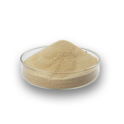 High purity,Stable properties,High safety L-theanine