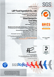  certificado 